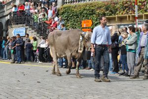 140922Schwyz 219